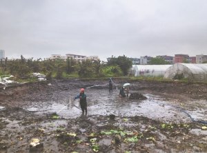 河北河道鱼塘清淤